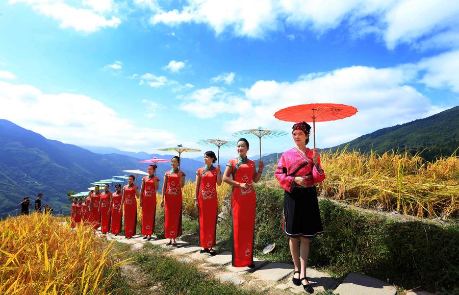 Women present cheongsam at Ping'an terrace field in Guangxi