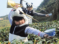 Culinary contest held in Neijiang, China's Sichuan