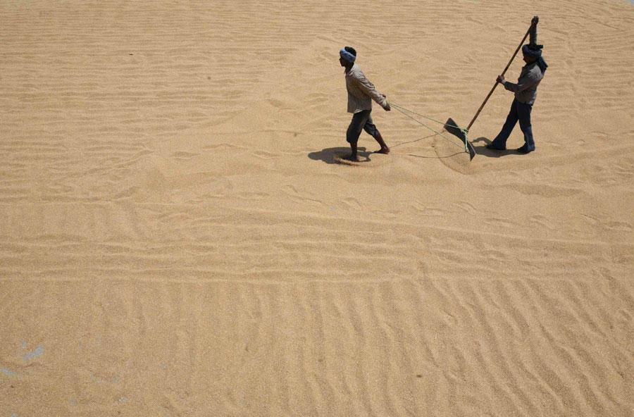 Grain market in India