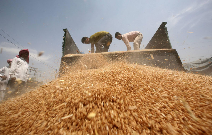 Grain market in India