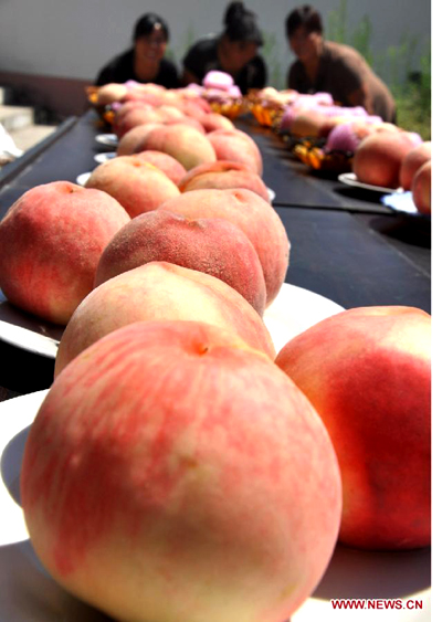 Peach contest in China's Shandong