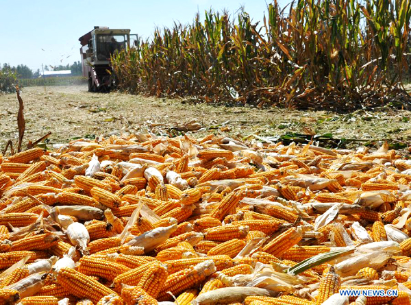 China greets harvest days for autumn crops