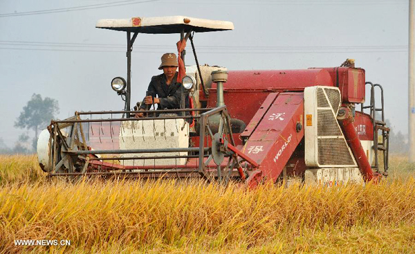 Imported GM soybeans flood Chinese market