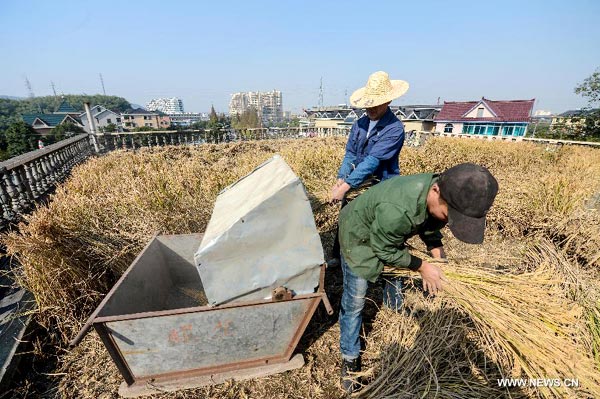 Villager turns his house roof into farmland