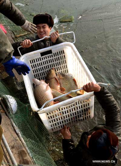Fishing festival marked at Longting Lake in Henan