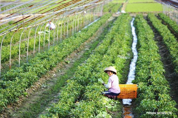Planting season approaches in S China's Qionghai