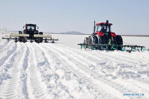 Heilongjiang's farmers begin spring ploughing in snow