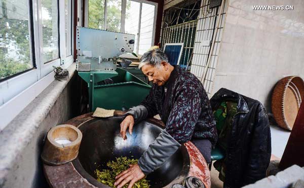 Tea garden in Hangzhou