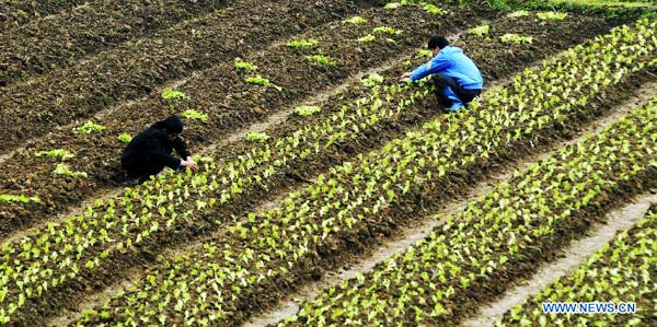 Farm work across China