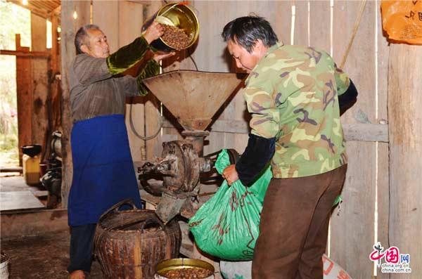 Traditional tea-seed oil mill in SE China