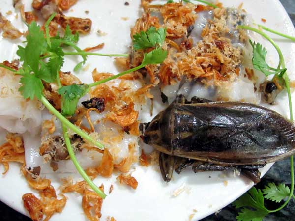 You aren’t what you eat; especially if that includes insects!