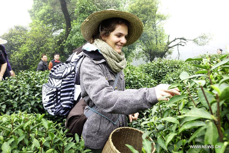 Swiss students visit tea garden in Hangzhou