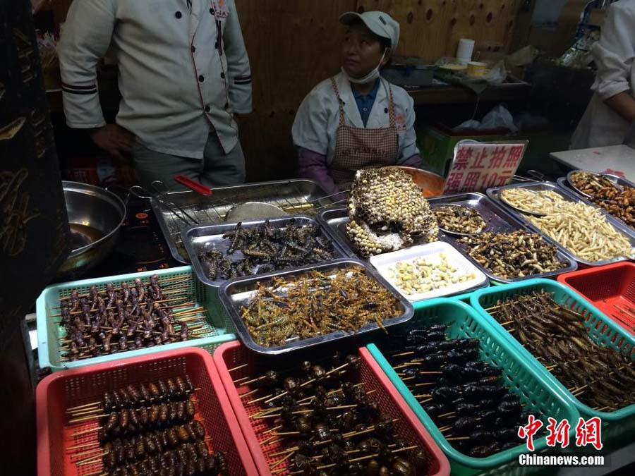 Insect dishes presented at food festival in SW China