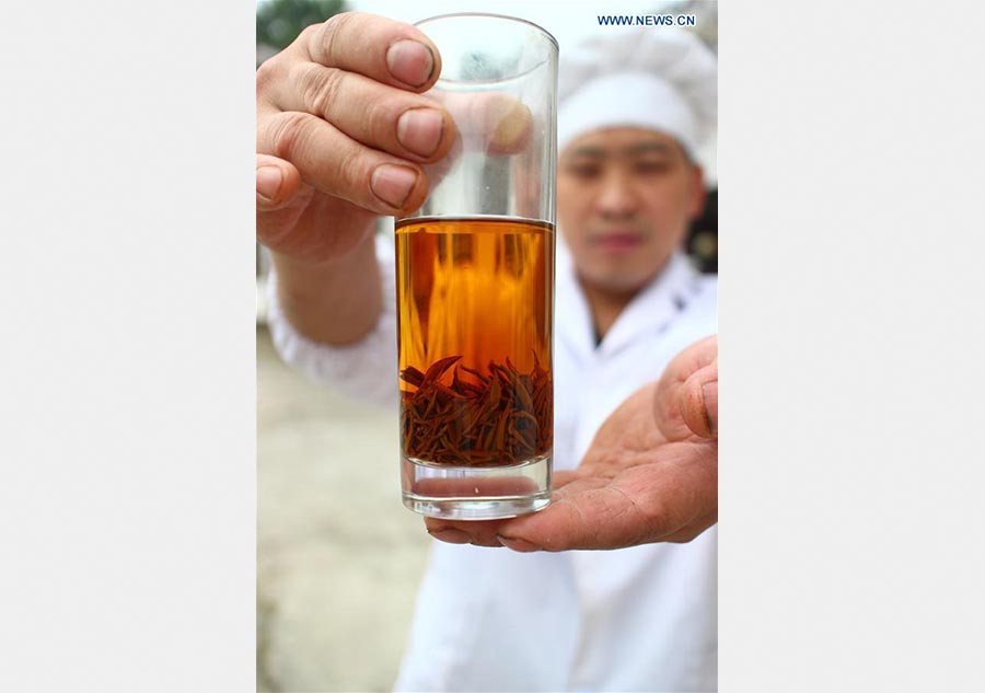 Tea industry, pillar industry in SW China's Fenggang