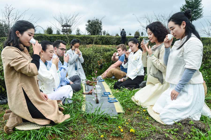 Expats get a 'taste' of Chinese tea culture in Guizhou