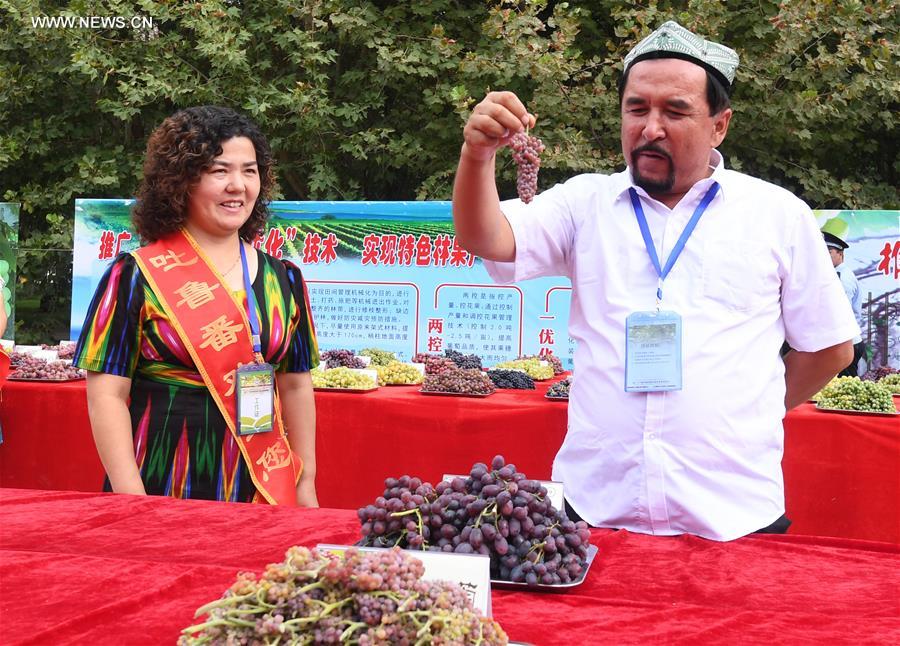 Grape festival opens at Turpan in NW China's Xinjiang