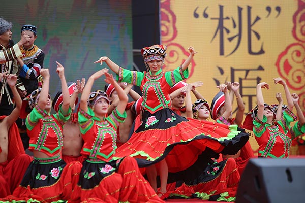 Yangbi holds festival to promote walnut sector