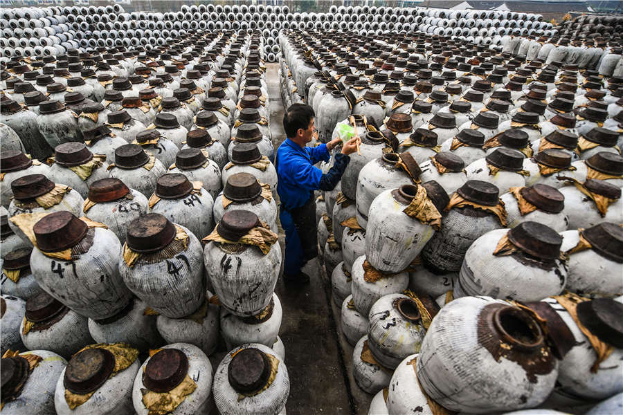 Rice wine brewing season in Shaoxing, China's Zhejiang