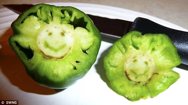 英国挖出怪状蔬菜 手形胡萝卜微笑胡椒