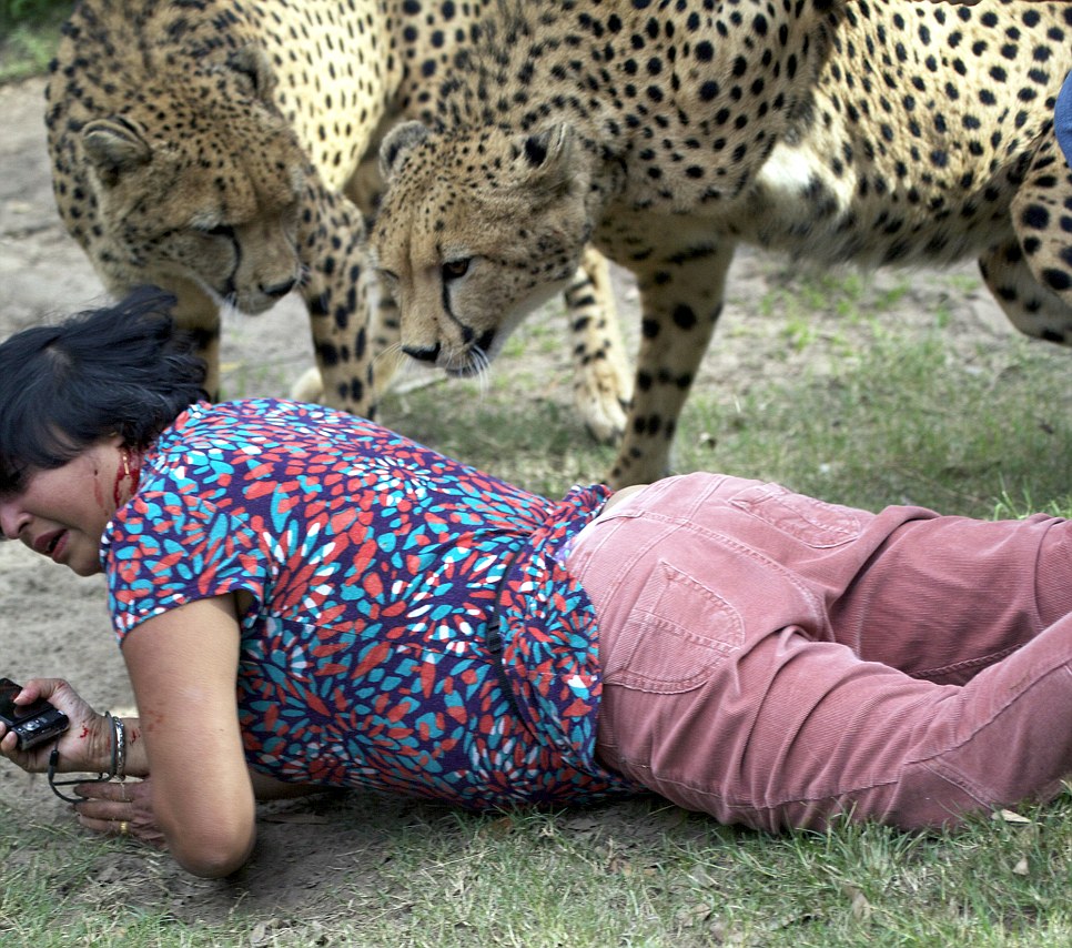 英国女子南非动物园上演“豹口脱险”惊魂记