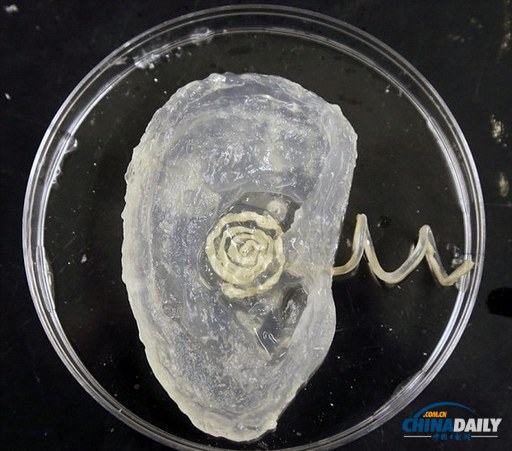 美科学家3D打印仿生耳 可“听”到无线电频率