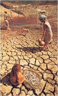 全球变暖导致干旱