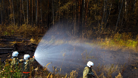 俄罗斯远东地区扑灭十余起森林火灾  