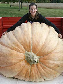 美国妇女种出782公斤巨型南瓜 打破世界纪录