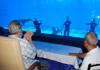 卡斯特罗频频露面 参观水族馆称能水下憋气2分钟