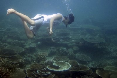 印尼海域水温骤升致珊瑚礁大规模死亡
