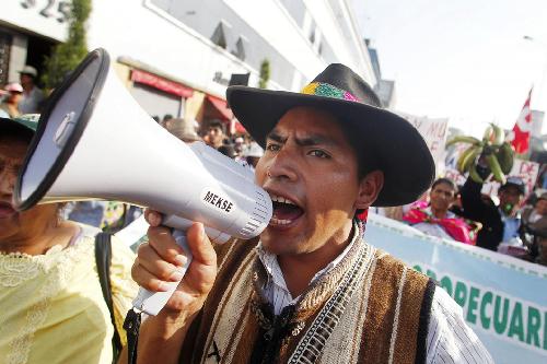 组图：秘鲁首都爆发大规模示威 抗议政府建水电站