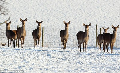 欧洲多国圣诞节遭遇强降雪 陆空交通困难旅客受罪