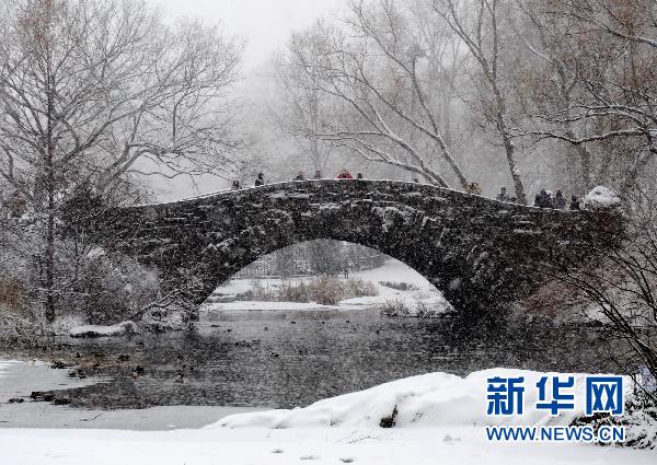 纽约遭暴风雪袭击 部分地区能见度为零