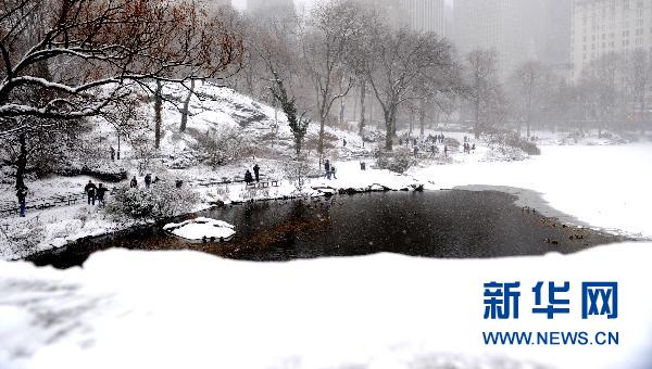 纽约遭暴风雪袭击 部分地区能见度为零