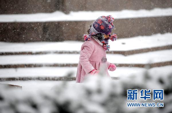 纽约遭暴风雪袭击 部分地区能见度为零