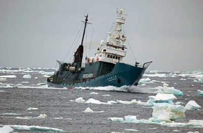 反捕鲸组织与日本捕鲸船再起冲突 遭高压水枪驱赶