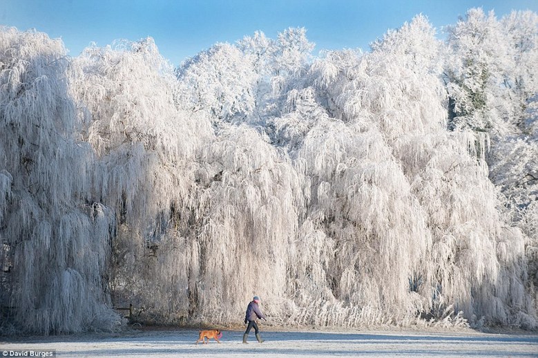 英国美丽雪景如天然圣诞贺卡