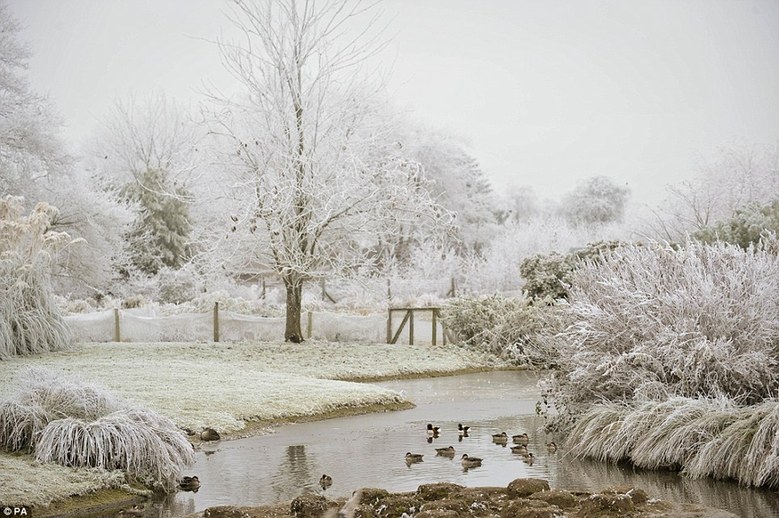 英国美丽雪景如天然圣诞贺卡