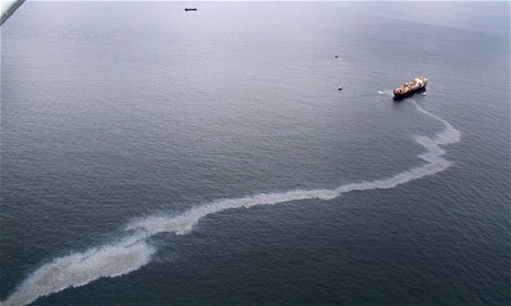 货轮漏油引发新西兰最严重海洋污染 政府被批应对不力