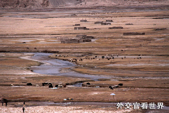 高原峡谷、牛羊成群（优秀奖）