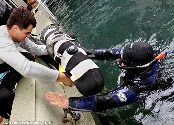 俄罗斯一只狗能深海潜水 成潜水队新成员 (2)