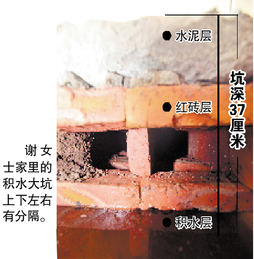广州一空心楼板积水数年 白蚁成灾霉气不断(图)