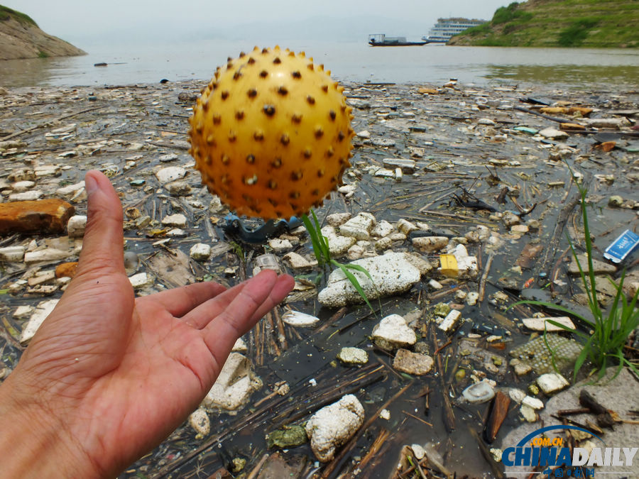 湖北宜昌：三峡水库又现漂浮垃圾带