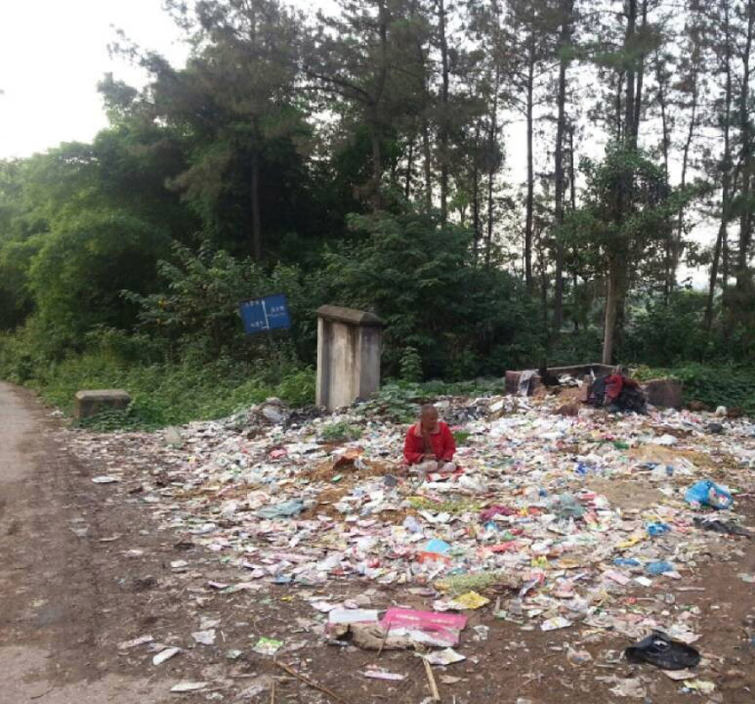 高清：网曝四川一森林公园成垃圾山 滋生大量苍蝇