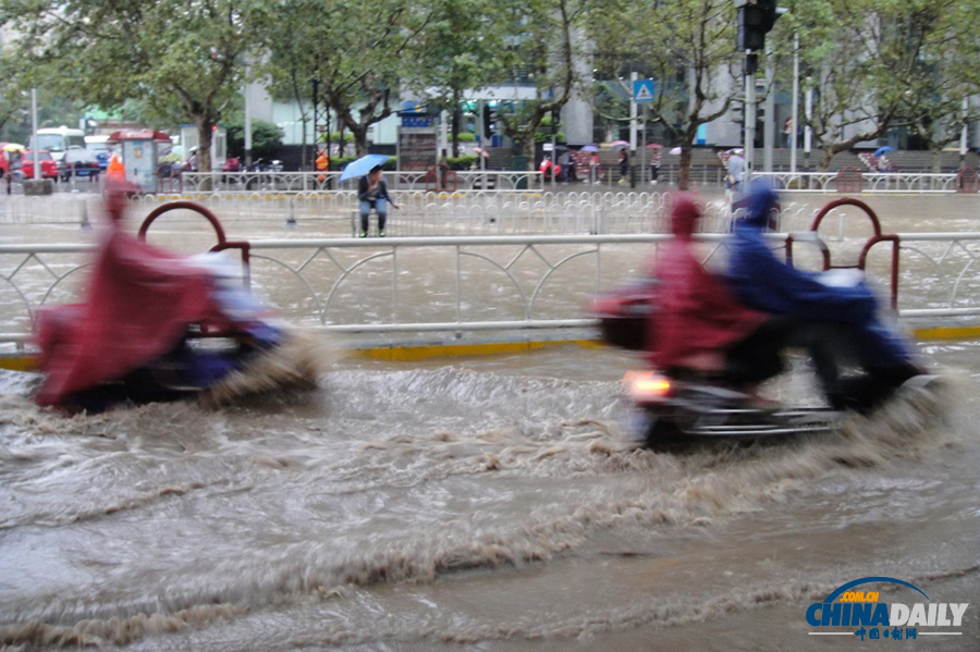 昆明一雨成泽