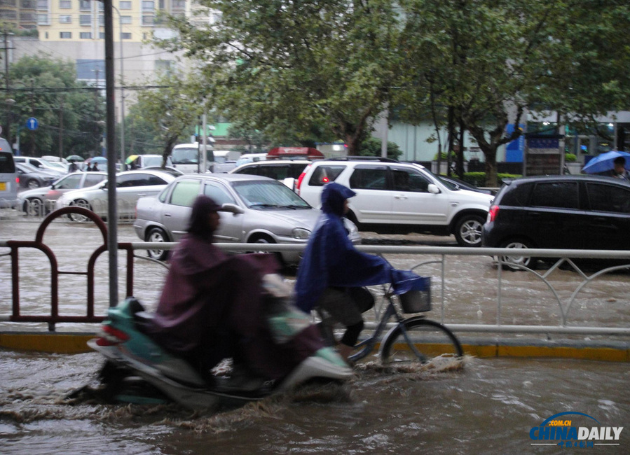 昆明一雨成泽