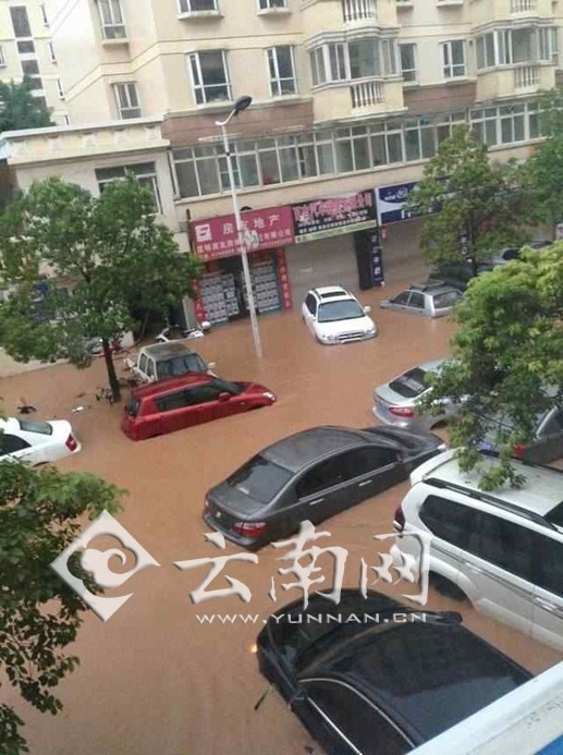 昆明一雨成泽