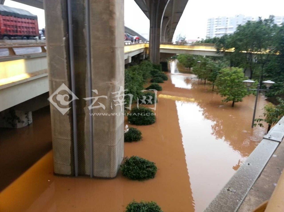 昆明一雨成泽