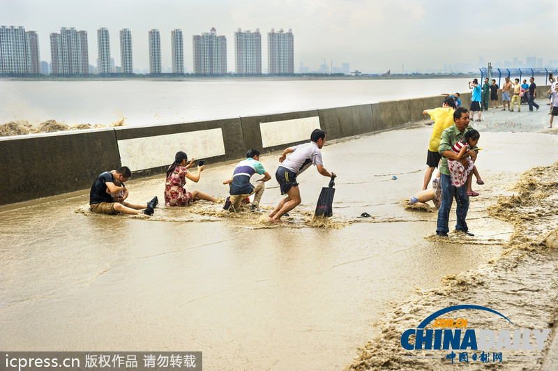 钱江潮威力不减 父女观潮头破血流