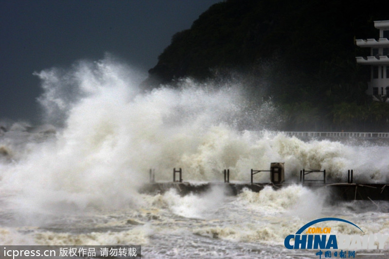 强台风“蝴蝶”来袭 所到之处大树连根拔起